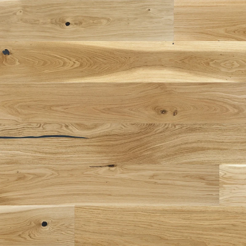 Stejar Sahara Grande photo2